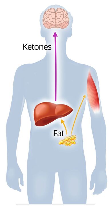 Ketosis dengan NexaSlim